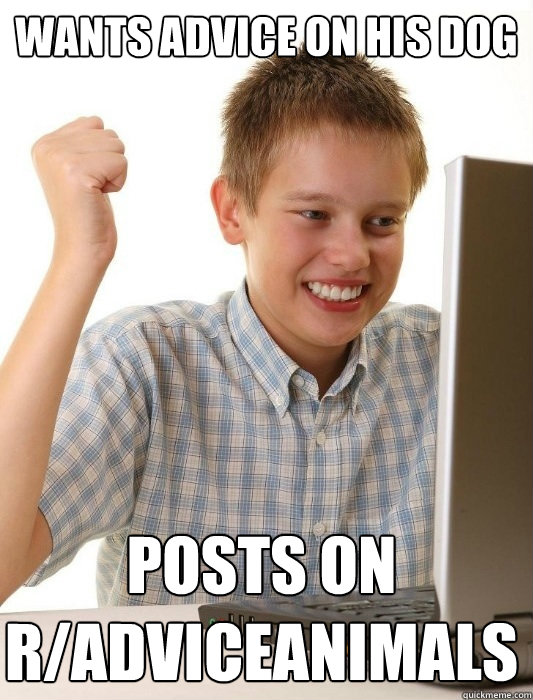 wants advice on his dog posts on r/adviceanimals  First Day on the Internet Kid