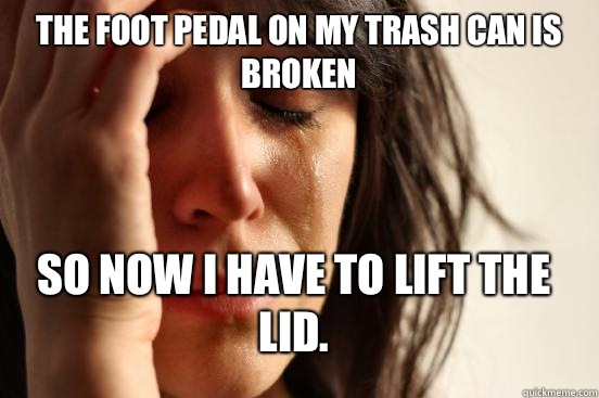 The foot pedal on my trash can is broken So now I have to lift the lid.  FirstWorldProblems