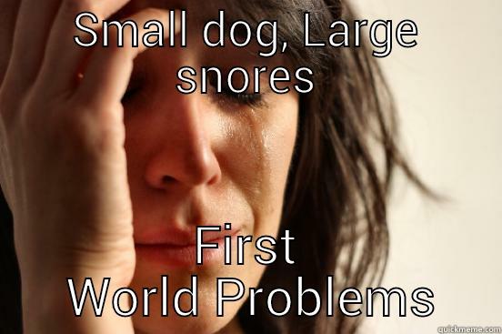 SMALL DOG, LARGE SNORES FIRST  WORLD PROBLEMS First World Problems
