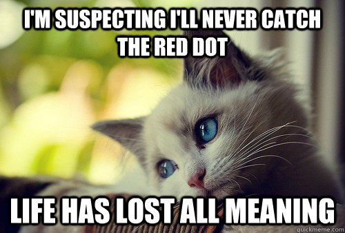 i'm suspecting I'll never catch the red dot life has lost all meaning - i'm suspecting I'll never catch the red dot life has lost all meaning  First World Problems Cat