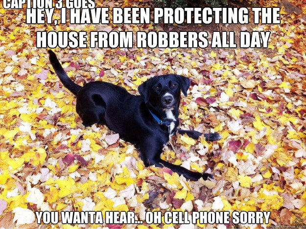 Hey, I have been protecting the house from robbers all day You wanta hear... oh cell phone sorry Caption 3 goes here  Guilt Giving Good Dog