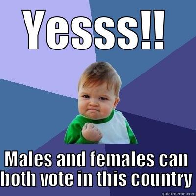 19th Amendment - YESSS!! MALES AND FEMALES CAN BOTH VOTE IN THIS COUNTRY Success Kid