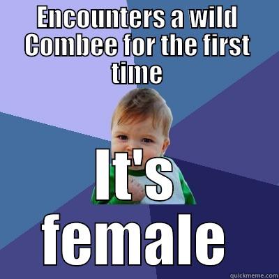 It's female! - ENCOUNTERS A WILD COMBEE FOR THE FIRST TIME IT'S FEMALE Success Kid