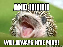 and iiiiiiii will always love you!!!  singing hedgehog