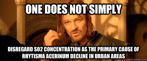 One does not simply disregard so2 concentration as the primary cause of rhytisma acerinum decline in urban areas  One Does Not Simply