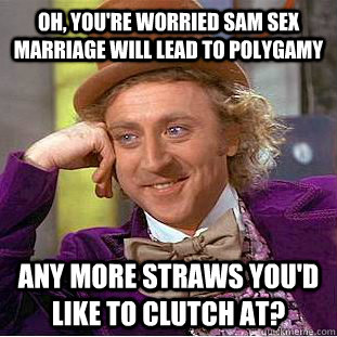 Oh, you'RE WORRIED SAM SEX MARRIAGE WILL LEAD TO POLYGAMY ANY MORE STRAWS YOU'D LIKE TO CLUTCH AT? - Oh, you'RE WORRIED SAM SEX MARRIAGE WILL LEAD TO POLYGAMY ANY MORE STRAWS YOU'D LIKE TO CLUTCH AT?  Condescending Wonka