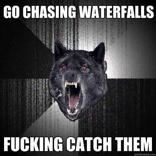 Go chasing waterfalls Fucking catch them  Insanity Wolf