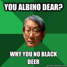you albino dear? why you no black deer
  Asian Dad