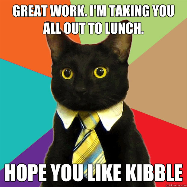 Great work. i'm taking you all out to lunch. hope you like kibble  Business Cat