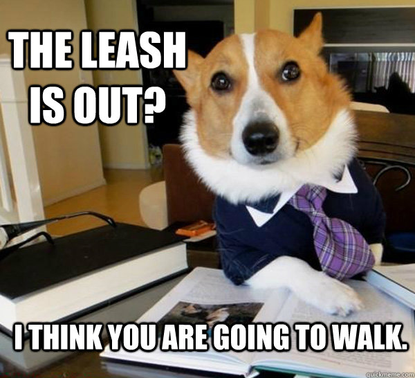 The Leash is out? I think you are going to walk.  Lawyer Dog