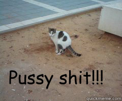 Pussy shit!!!  cat poop