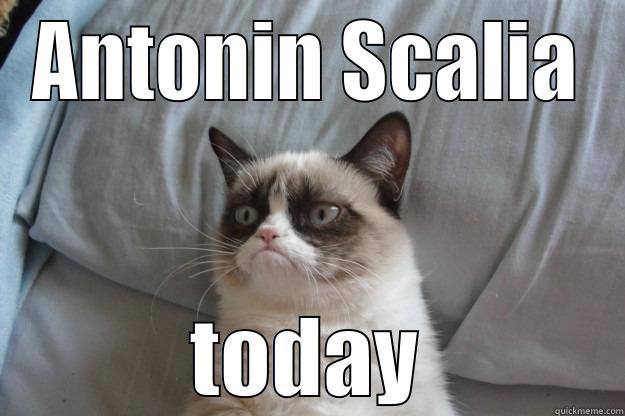 ANTONIN SCALIA TODAY Grumpy Cat