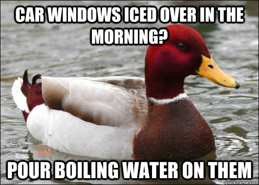 Car Windows iced over in the morning? Pour Boiling water on them  Malicious Advice Mallard