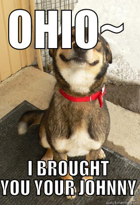 OHIO~ I BROUGHT YOU YOUR JOHNNY Good Dog Greg