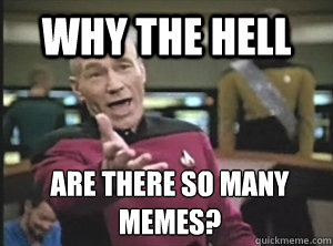 Why the hell Are there so many memes?  Annoyed Picard