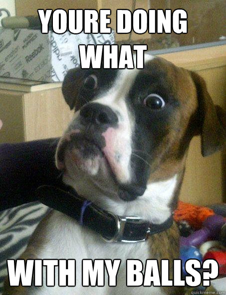 YOURE DOING WHAT WITH MY BALLS? - YOURE DOING WHAT WITH MY BALLS?  Sudden Clarity Canine