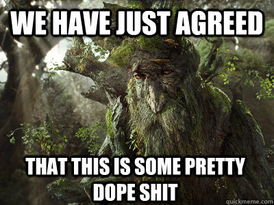 WE HAVE JUST AGREED that this is some pretty dope shit  treebeard