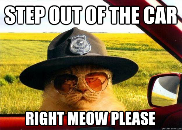 Step out of the car Right meow please - Step out of the car Right meow please  Officer Cat
