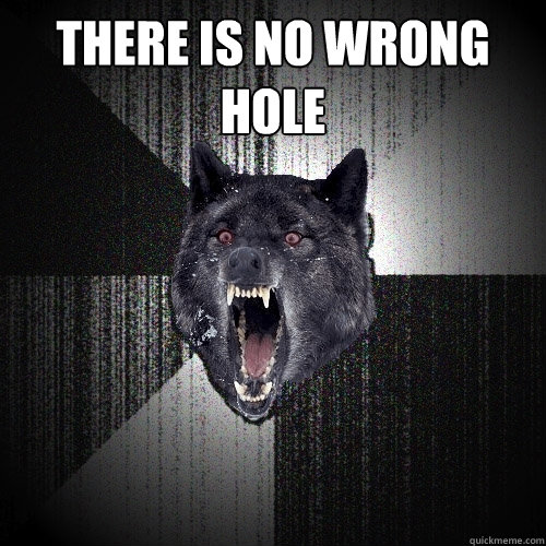 There is no wrong hole    Insanity Wolf