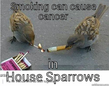 SMOKING CAN CAUSE CANCER IN HOUSE SPARROWS Misc