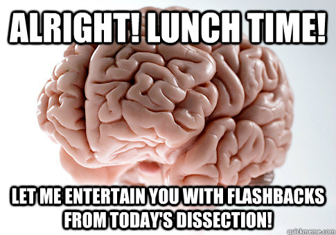 Alright! Lunch time! Let me entertain you with flashbacks from today's dissection!  Scumbag Brain