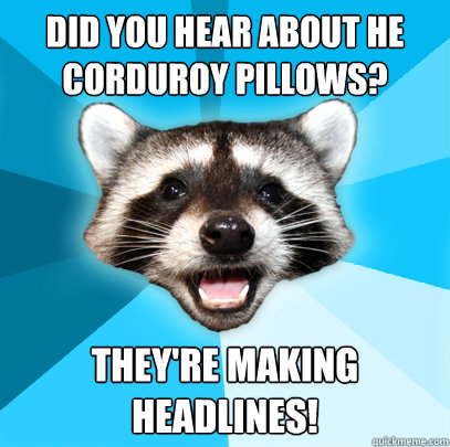 Did you hear about he corduroy pillows? They're making headlines!  Lame Pun Coon