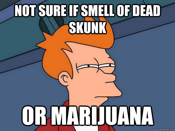 Not sure if smell of dead skunk  Or marijuana  Futurama Fry