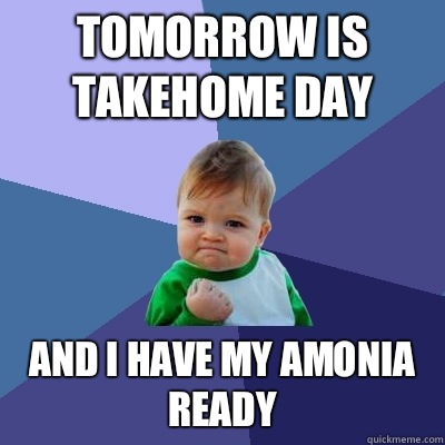 Tomorrow is Takehome Day And I have my Amonia ready  Success Kid