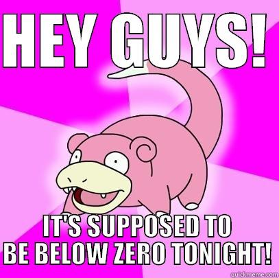 HEY GUYS!  IT'S SUPPOSED TO BE BELOW ZERO TONIGHT! Slowpoke