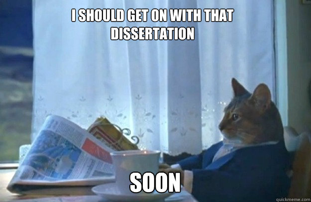i should get on with that dissertation SOON  Sophisticated Cat