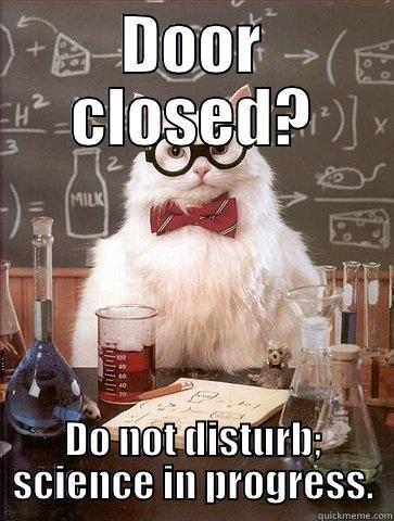 Do not disturb - DOOR CLOSED? DO NOT DISTURB; SCIENCE IN PROGRESS. Chemistry Cat