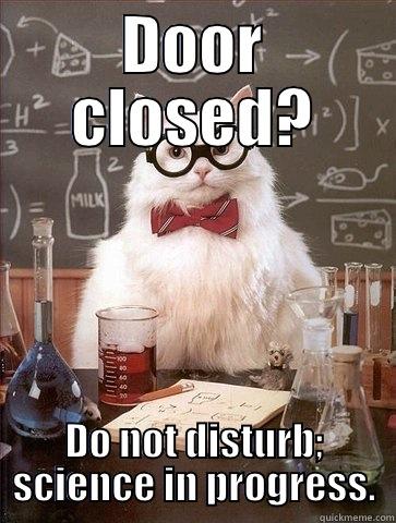 DOOR CLOSED? DO NOT DISTURB; SCIENCE IN PROGRESS. Chemistry Cat
