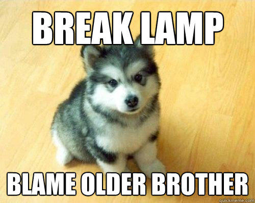 Break lamp blame older brother  Baby Courage Wolf