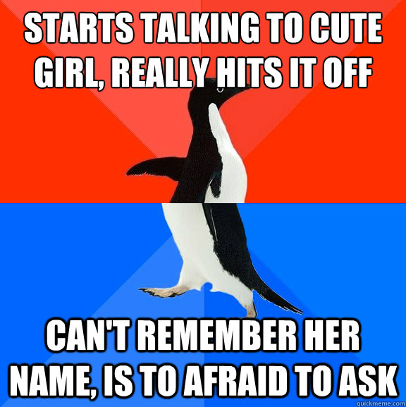 Starts talking to cute girl, really hits it off Can't remember her name, is to afraid to ask  Socially Awesome Awkward Penguin