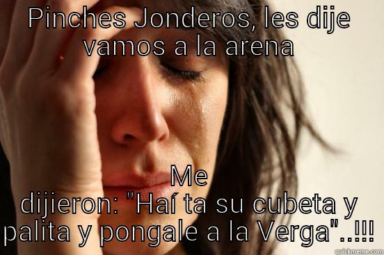 PINCHES JONDEROS, LES DIJE VAMOS A LA ARENA ME DIJIERON: 