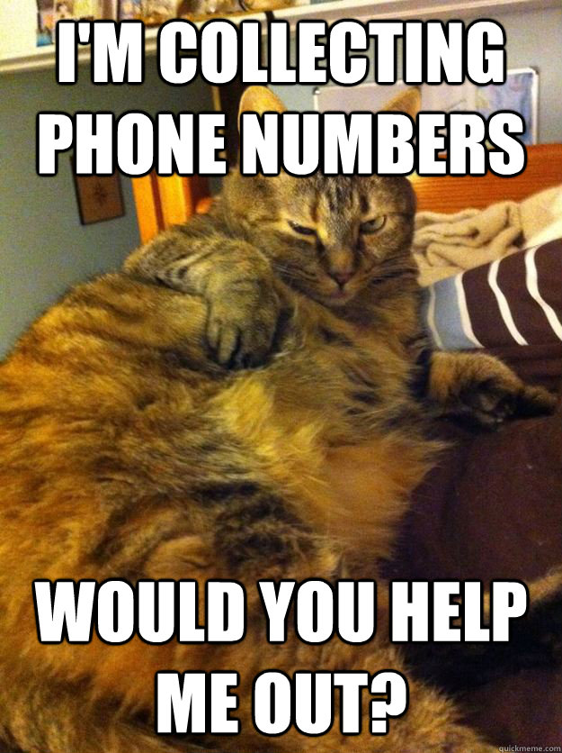 i'm collecting phone numbers would you help me out?  Seductive Cat