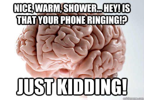 Nice, warm, shower... Hey! is that your phone ringing!? Just Kidding!  Scumbag Brain