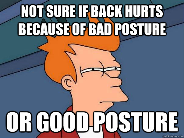 not sure if back hurts because of bad posture or good posture  Futurama Fry