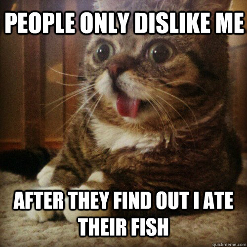People only dislike me after they find out I ate their fish  Sudden Clarity Cat