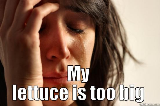  MY LETTUCE IS TOO BIG First World Problems