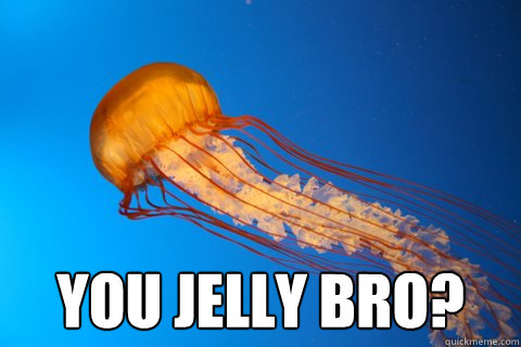 You Jelly Bro?  