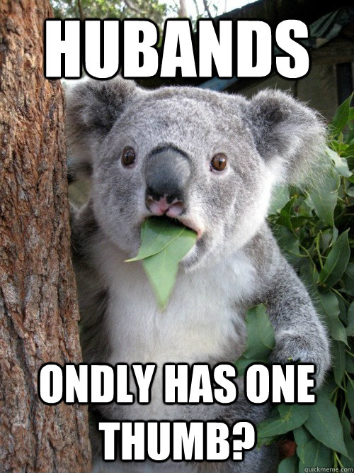 Hubands Ondly has one thumb?  Koala
