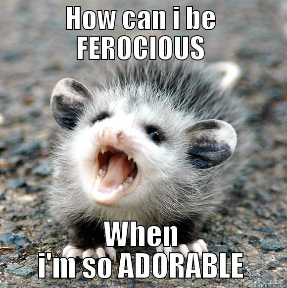 I'm CUTE and FEROCIOUS - HOW CAN I BE FEROCIOUS WHEN I'M SO ADORABLE Misc
