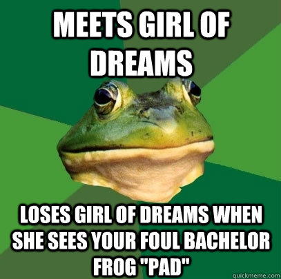 MEETS GIRL OF DREAMS LOSES GIRL OF DREAMS WHEN SHE SEES YOUR FOUL BACHELOR FROG 
