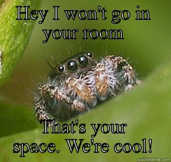 Hey Meggie-Muffin - HEY I WON'T GO IN YOUR ROOM THAT'S YOUR SPACE. WE'RE COOL! Misunderstood Spider