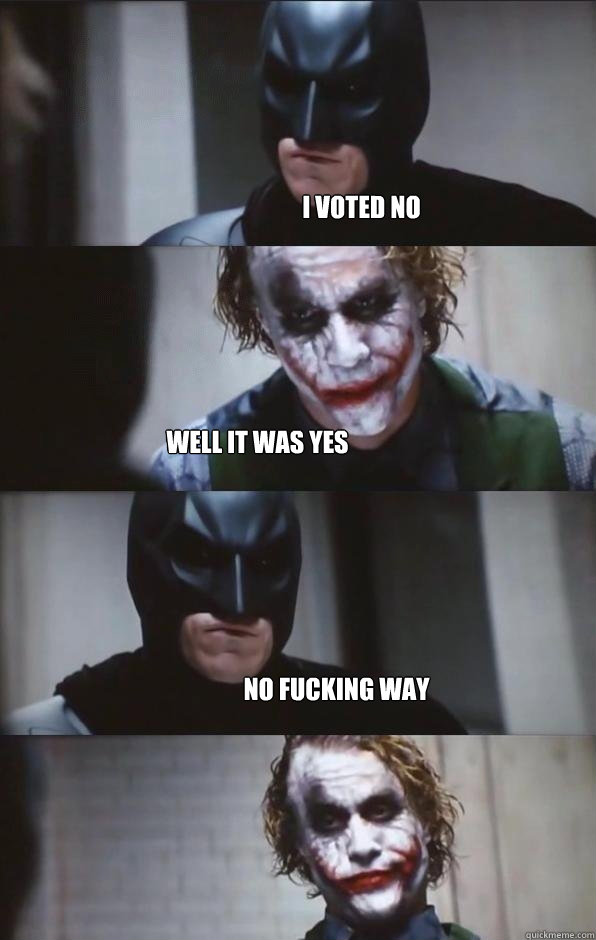 i VOTED NO WELL IT WAS YES NO FUCKING WAY   - i VOTED NO WELL IT WAS YES NO FUCKING WAY    Batman Panel
