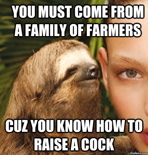 You must come from a family of farmers cuz you know how to raise a cock  rape sloth