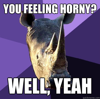 you feeling horny? well, yeah  Sexually Oblivious Rhino