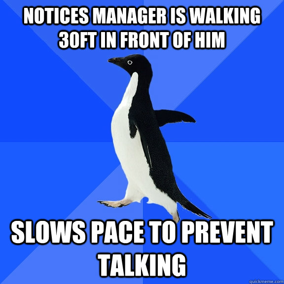 Notices manager is walking 30ft in front of him Slows pace to prevent talking - Notices manager is walking 30ft in front of him Slows pace to prevent talking  Socially Awkward Penguin