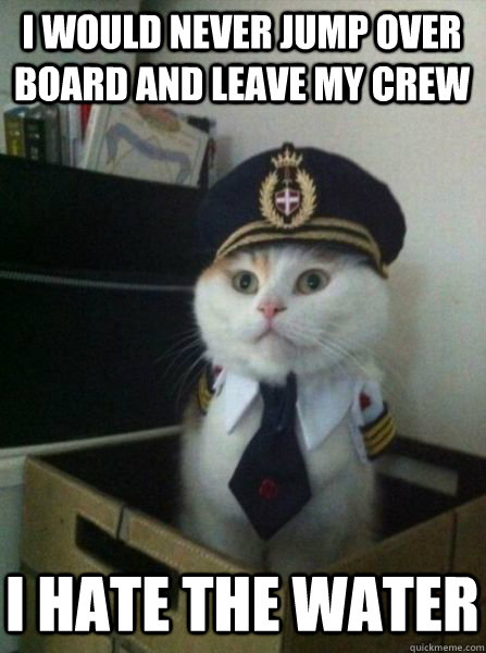 I would never jump over board and leave my crew i hate the water  Captain kitteh